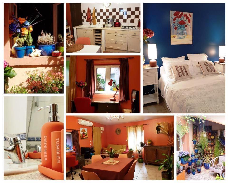 Petit Patio En Centre Ville นีมส์ ภายนอก รูปภาพ